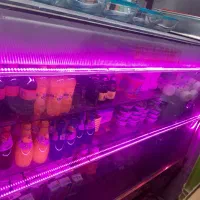 یخچالدموتور دانفوس