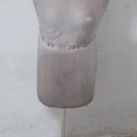 دو عدد مانکن