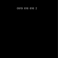 0919 616  616  2