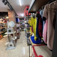 دامپزشکی شبانه روزی آوا