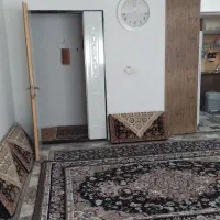 ۶عدد پشتی
