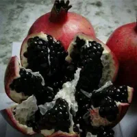 فروش نهال انار واندر دانه سیاه