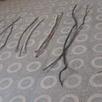 ضایعات لوله مسی کولر   جدا جدا جمعا ۲۴ متر