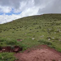 انواع کنده کاری تمیزکاری باغ وساختمان چاه کنی