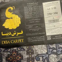 فرش|فرش|فردیس, منظریه|دیوار