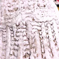 خط میخی|کلکسیون اشیاء عتیقه|ماهنشان, |دیوار