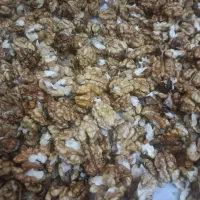 فروش گردو ییلاقی سفیدوپرچرب