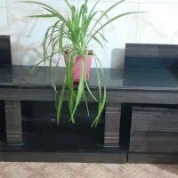 میز تولویزیون سالم