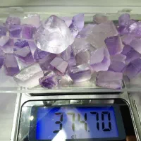 شاه مقصود|کلکسیون و سرگرمی|مشهد, مشکینی (شهرک غرب)|دیوار