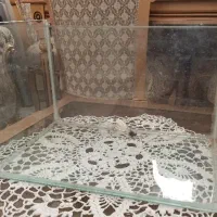 آکواریوم شیشه خم