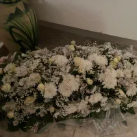 گل رومیزی بزرگ