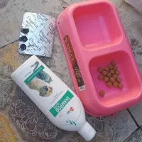 پاکوتا