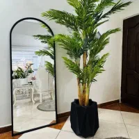 درختچه‌های وارداتی باارتفاع ۲متر به قیمت عمده