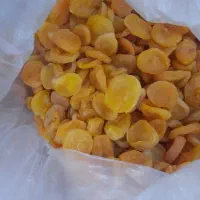 قیسی زردآلو