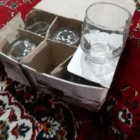 نیم لیوان و مرغ خوری