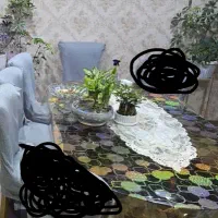 میز نهار خوری