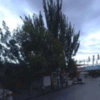 مغازه بر اصلی مسیر پر تردد