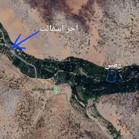 باغ گردو۲۵ساله الشتر کهمان .