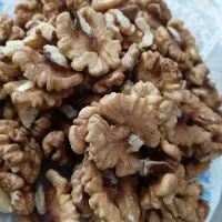 مغز گردو