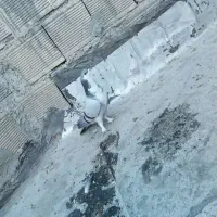 نرخرقه|پرنده|اصفهان, زاجان|دیوار