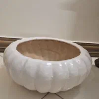 گلدون|گل و گیاه طبیعی|تهران, والفجر (افسریه)|دیوار