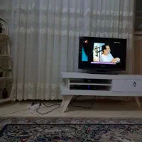 هم خونه اقا