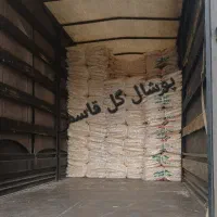 شرکت پوشال کولر