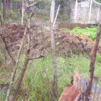 فروش کود حیوانی