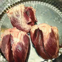 میکس دل.پودر جلبک اسپرولینا.غذا قرصی