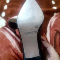 کفش پاشنه دار|کیف، کفش، کمربند|جهرم, |دیوار