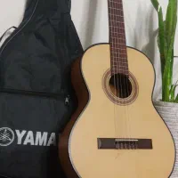 گیتار ایرانی(معمولی)