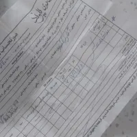 گوشواره رولکس طلا|جواهرات|شهریار, شهرک وائین|دیوار