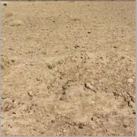 زمین فروشی در روستای چاهک و موسویه