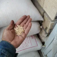 جو آبی پاییزه