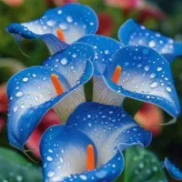 راهنمایی فنی صنعتی