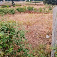 فروش-زمین-باغی-سنددار-در-شموشک-بالا