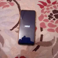 شیامی پوکوc40