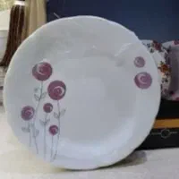 ارکوپال ۱۲ نفرع