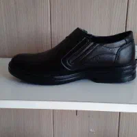 کفش مردانه|کیف، کفش، کمربند|داراب, |دیوار