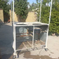 کاری فلافلی باشت هستم
