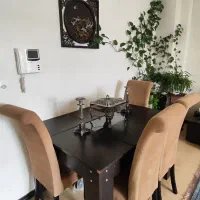 سرویس مبل و میز نهار و جلو مبلی و عسلی با هم|مبلمان خانگی و میز عسلی|شاهین‌شهر, شیخ بهایی|دیوار