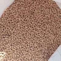 نخود ارگانیک