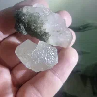 راف کوارتز رتایل وخزه ای