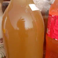 آبغوره خااص کشمش ،سرکه سیب غلیظ ،و برگ مو|خوردنی و آشامیدنی|بناب, |دیوار