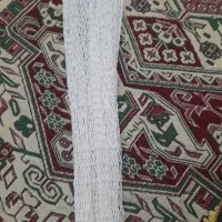 تور نون بنی