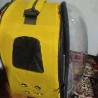 کیف یا باکس حمل حیوانات