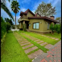 نما-انگلیسی-سرسبز-زیرقیمت-سندتکبرگ-منطقه-برند