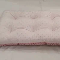 جای خواب سگ و گربه|لوازم جانبی حیوانات|کرمان, |دیوار