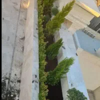 خدمات باغبانی باغچه کاری گلکاری هرس کاری بیل زنی|خدمات حمل و نقل|پرند, فاز ۶|دیوار