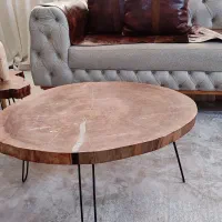 میز وسط و عسلی|مبلمان خانگی و میز عسلی|ری, جوانمرد قصاب|دیوار